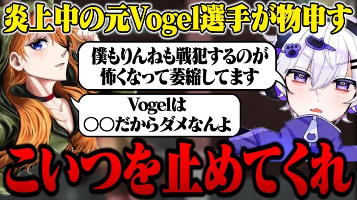 【炎上】Vogelの愚痴が全く止まらないりゅうにき。【荒野行動】